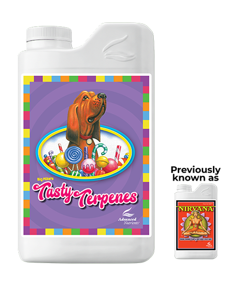 Erweiterte Nährstoffe Leckere Terpene / Nirvana 500ml - 1