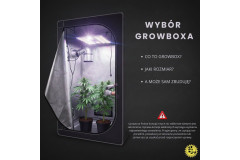 How to increase your yield — choosing a grow box (part 1)
