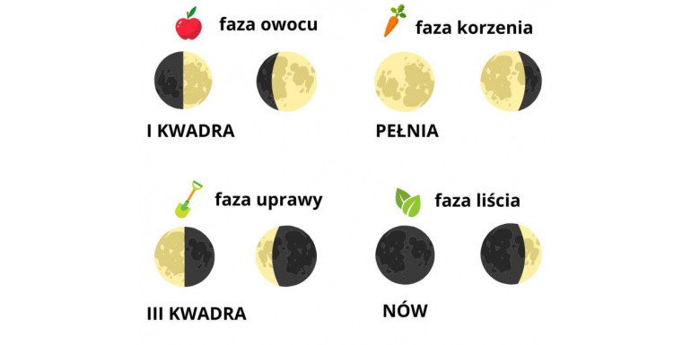 Vliv fází měsíce na rostliny (část 1)