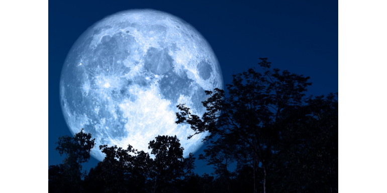 Měsíční kalendář pro rok 2026 pro vnitřní i venkovní použití – určité dny (část 2)