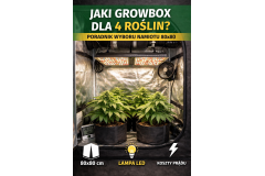 Jaki growbox dla 4 roślin? Kompletny poradnik wyboru namiotu uprawowego