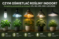 Czym oświetlać rośliny indoor? Kompletny przewodnik po lampach CFL, MH, HPS, CMH i LED (2026)