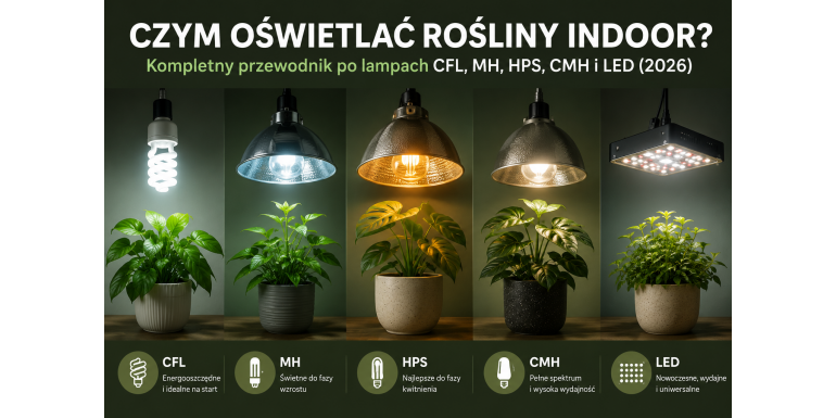 Welche Beleuchtung für Indoor? Kompletter Leitfaden zu CFL, MH, HPS, CMH und LED Growlampen (2026)