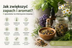 Jak zwiększyć zapach i aromat? 9 sposobów na intensywne terpeny