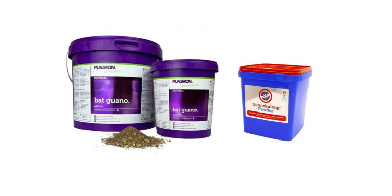 Bat Guano – odchody nietoperza, naturalny booster kwitnienia i smaków roślin