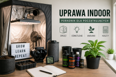 Growbox i uprawa indoor – lampy LED, zestawy, koszty uprawy