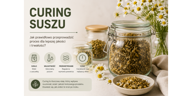 Curing Dried Herbs – What Is It and How to Cure Them Properly?
