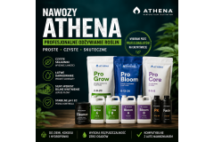 Athena Nawozy – Kompletny Przewodnik 2026 | Athena Pro, PK, Fade