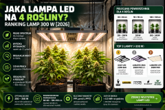 Jaka lampa LED na 4 rośliny? Ranking 300 W 2026