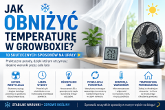 How to Lower the Temperature in a Grow Tent? 10 Effective Ways