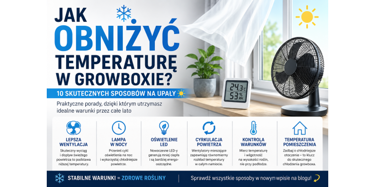 Jak obniżyć temperaturę w growboxie? 10 skutecznych sposobów na upały