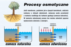 Zadbaj o czystą wodę dla swoich roślin! Filtry odwróconej osmozy