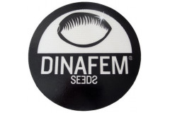 Dinafem - problemy firmy