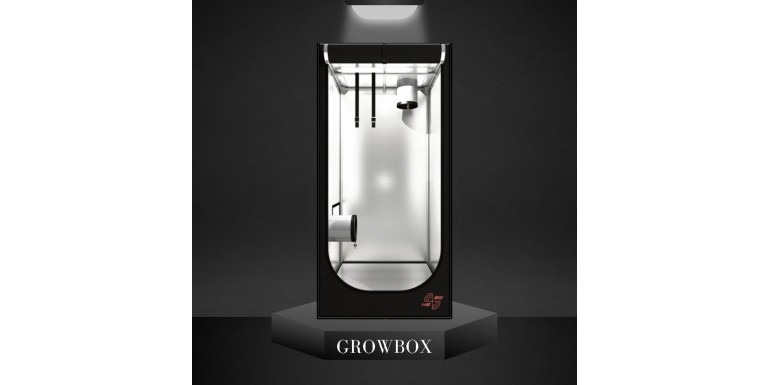 Growbox- podstawowe informacje