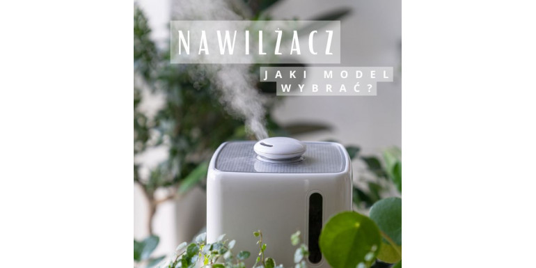 Nawilżacz powietrza, czym się kierować i czy jest niezbędny?
