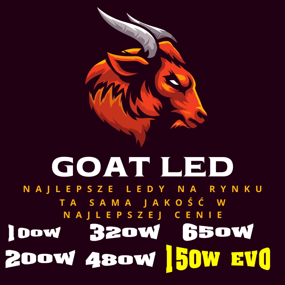 goat led