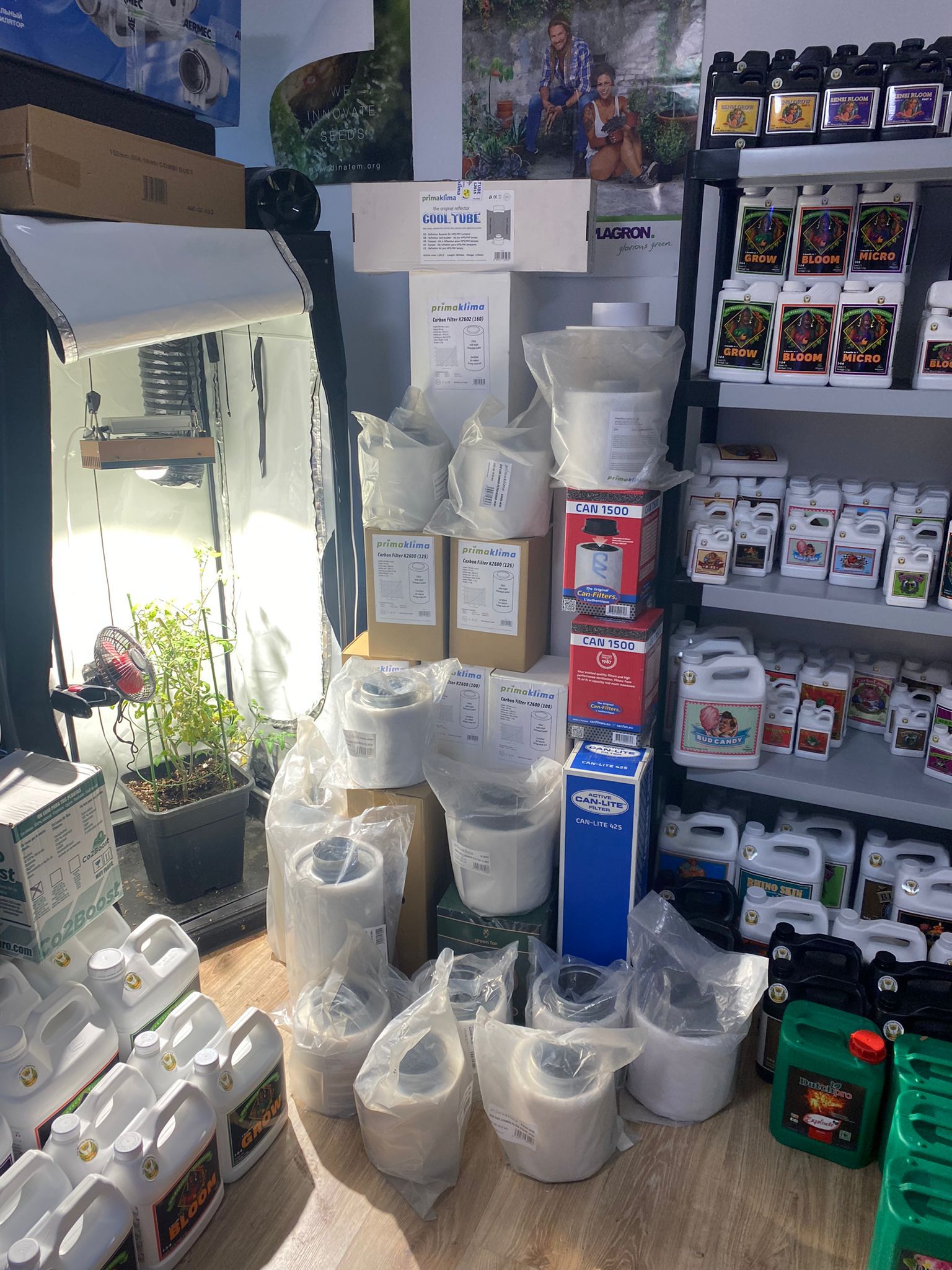 Lampa LED w growboxie 