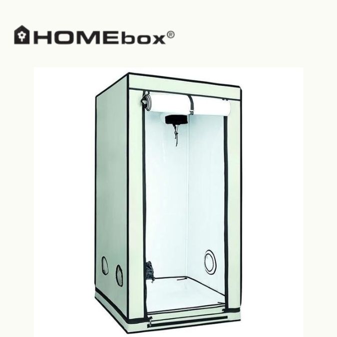 Homebox — growbox do uprawy roślin w pomieszczeniu