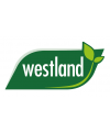 Westland