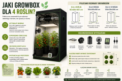 Jaki growbox dla 4 roślin? Kompletny poradnik wyboru namiotu uprawowego