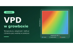 VPD in a grow tent: temperature and humidity