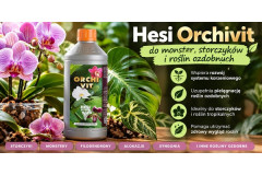 Hesi Orchivit na tanieuprawianie.pl – Dowiedz się, jak dbać o monstery, storczyki i inne rośliny ozdobne!