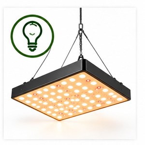 Lighting